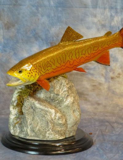 Salmon taxidermy